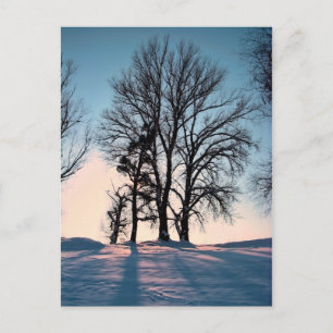 Winter trees on  blue sky background postkarte