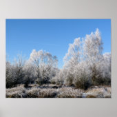 WINTER TREES POSTER (Vorne)