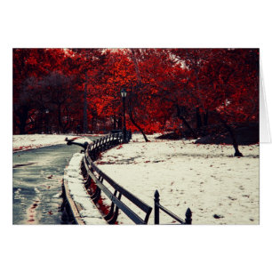 Winter trifft sich Fall in Central Park, NYC