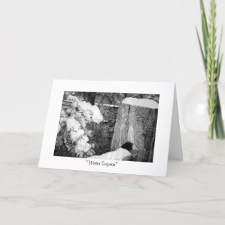 "Winter-Überraschung " Feiertagskarte