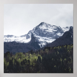 Winter und Frühling - grüne Bäume und schneebedeck Poster