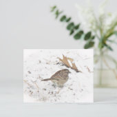 Winter und Sparrow Postkarte (Stehend Vorderseite)