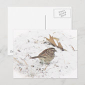 Winter und Sparrow Postkarte (Vorne/Hinten)