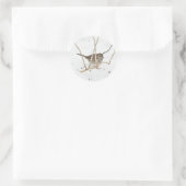 Winter und Sparrow Runder Aufkleber (Tasche)