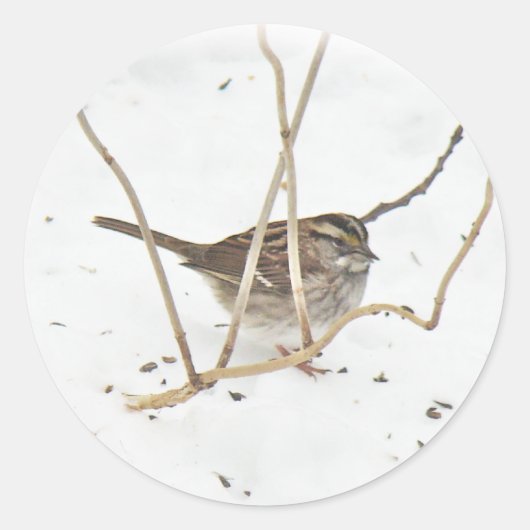 Winter und Sparrow Runder Aufkleber (Vorderseite)