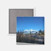 Winter View at Mount Shasta, CA Magnet (Vorderseite/Rückseite)