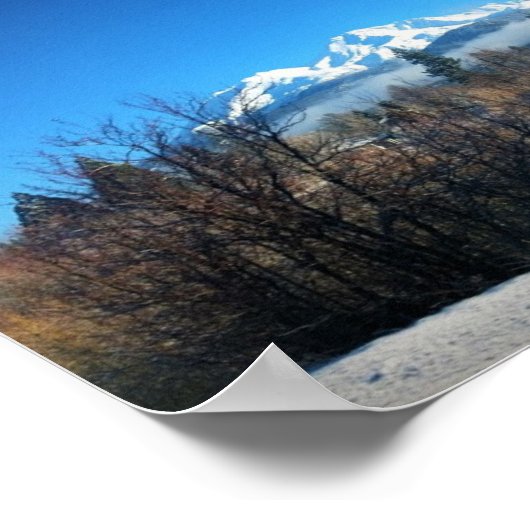 Winter View at Mount Shasta, CA Poster (Ecke)