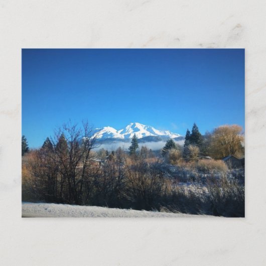 Winter View at Mount Shasta, CA Postkarte (Vorderseite)