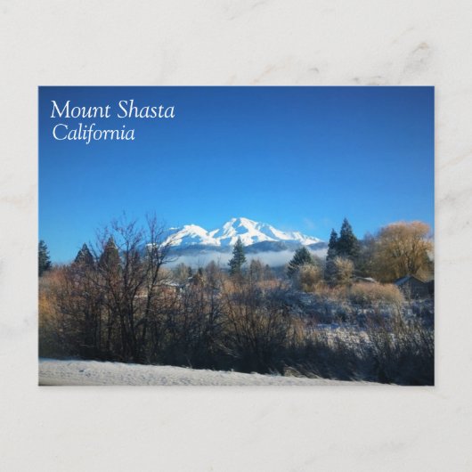 Winter View at Mount Shasta, CA Postkarte (Vorderseite)
