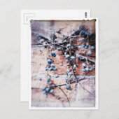 Winter Vine und Berries Postkarte (Vorne/Hinten)