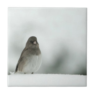 Winter-Vogel Fliese