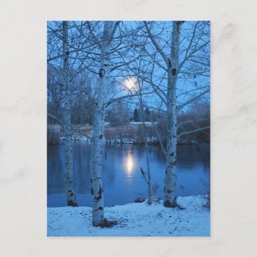 Winter Vollmond am Teich Postkarte (Vorderseite)