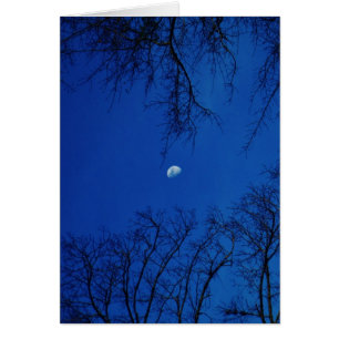 Winter-Vollmond mit Bäumen