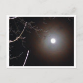 Winter Vollmond Postkarte (Vorderseite)
