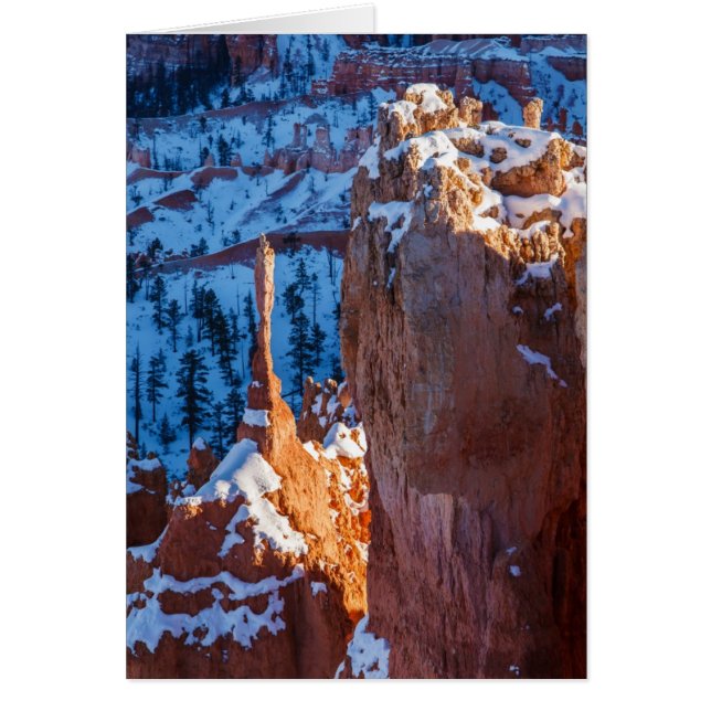 Winter-Wachposten (Vorne)