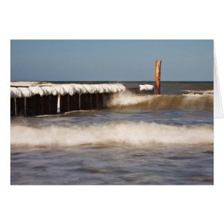 Winter-Wachstum an der Ostsee