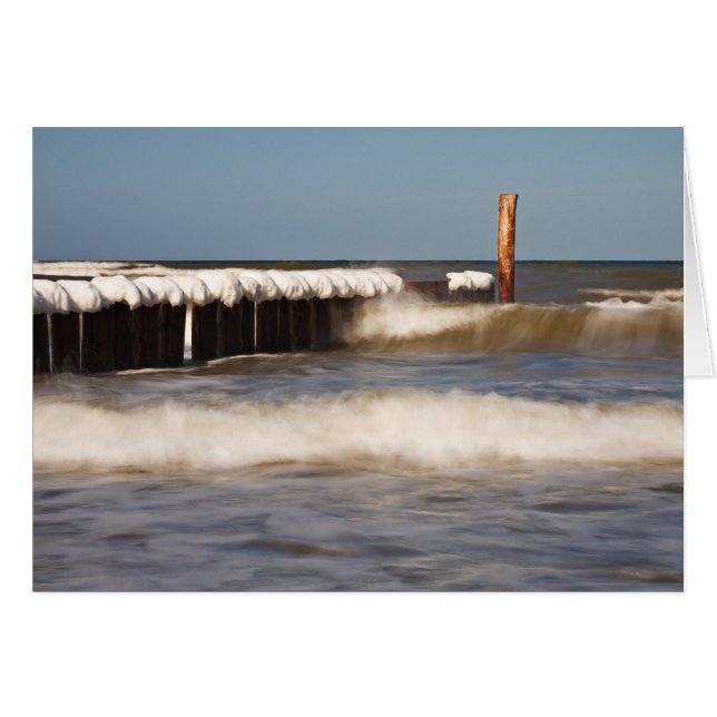 Winter-Wachstum an der Ostsee (Vorderseite (Horizontal))