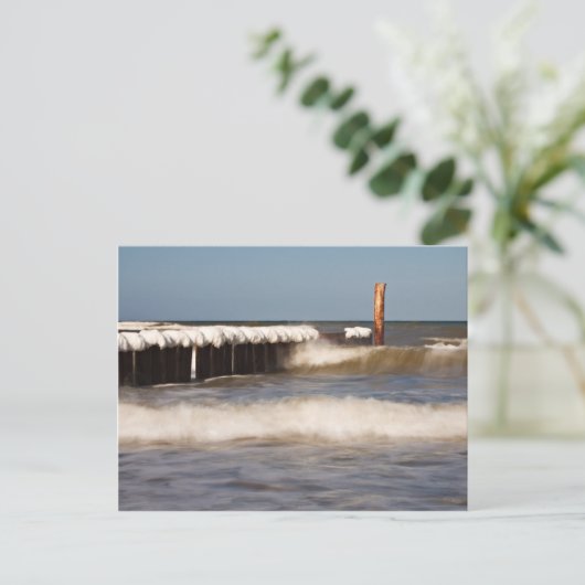 Winter-Wachstum an der Ostsee Postkarte (Stehend Vorderseite)