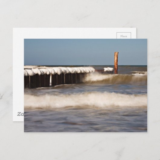 Winter-Wachstum an der Ostsee Postkarte (Vorne/Hinten)