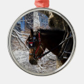 Winter-Wagen-Pferd Silbernes Ornament (Vorne)