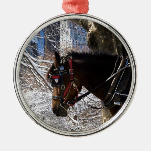 Winter-Wagen-Pferd Silbernes Ornament (Vorne)