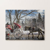 Winter-Wagen-Pferde im Central Park Puzzle (Horizontal)