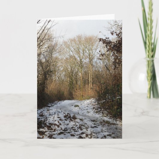 Winter-Waldlandschaft Dankeskarte (Vorderseite)