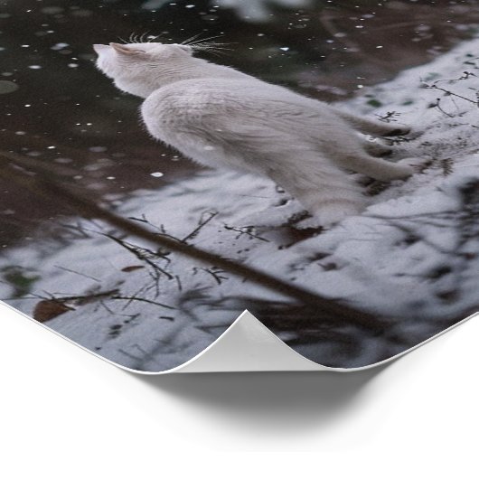 Winter Wander: Weiße Katze im Schnee Poster (Ecke)