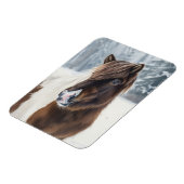 Winter Warmth – Icelandic Horse Watercolor Magnet (Linke Seite)