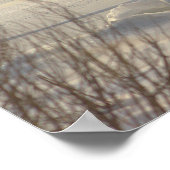 Winter-Wasserlandschaftsfoto-Poster Poster (Ecke)