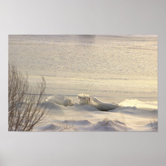 Winter-Wasserlandschaftsfoto-Poster Poster (Vorne)