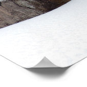 Winter Waterfall Poster (Ecke)