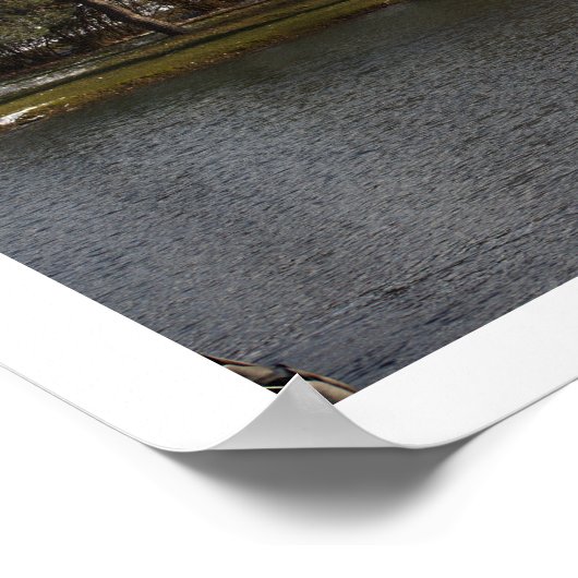 Winter Waterscape Poster (Ecke)