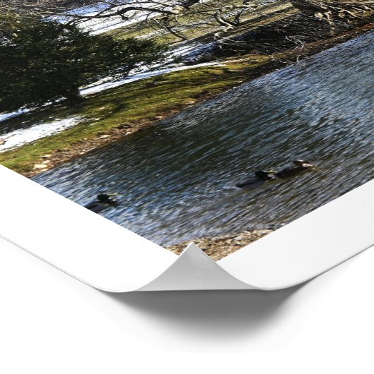 Winter Waterscape Poster (Ecke)