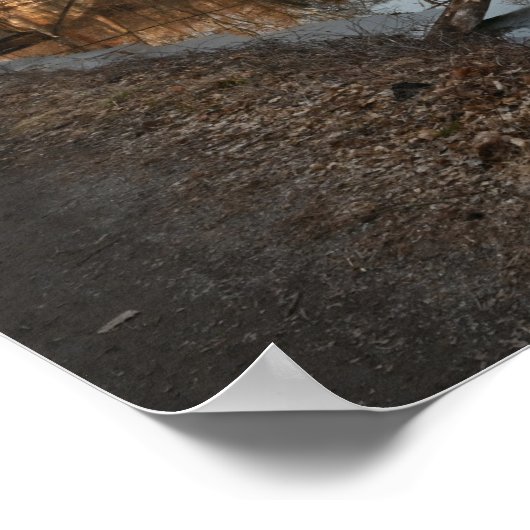 Winter Waterscape Reflection Poster (Ecke)