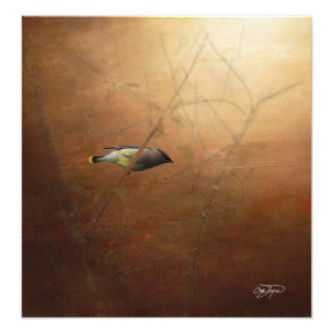 Winter Waxwing Photographic Art - Frame It! Fotodruck