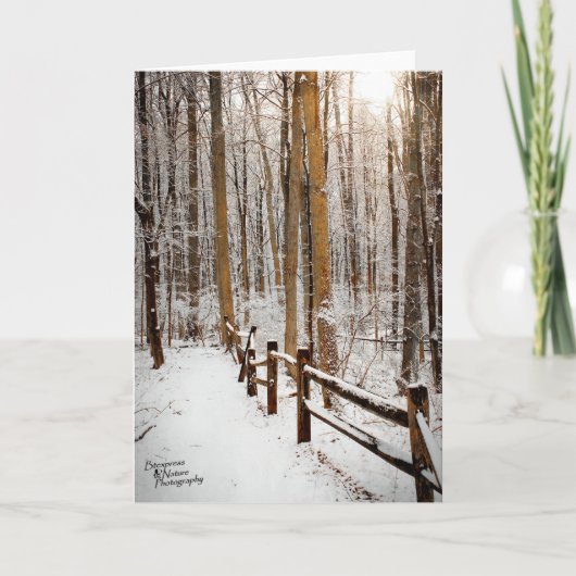 Winter-Weg (5,0) Feiertagskarte (Vorderseite)