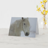 Winter-Weiß Karte (Gelbe Blume)