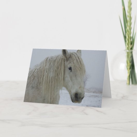 Winter-Weiß Karte (Vorderseite)