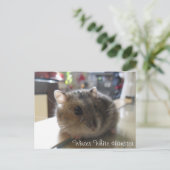 Winter-weiße Hamster-Postkarte Postkarte (Stehend Vorderseite)