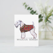 Winter Wheaten Terrier Postkarte (Stehend Vorderseite)