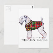 Winter Wheaten Terrier Postkarte (Vorne/Hinten)