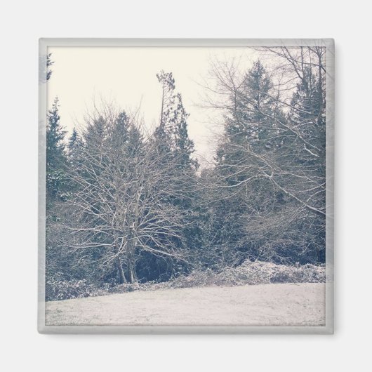 Winter White Magnet (Vorne)