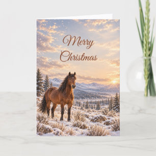Winter Wild Horse Weihnachten