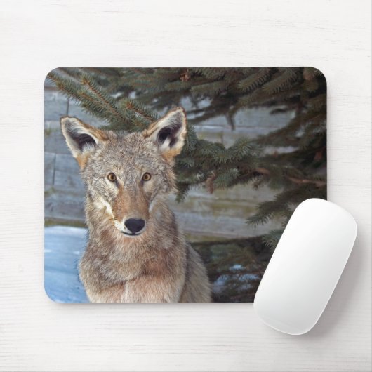Winter Wildlife Mousepad (Mit Mouse)