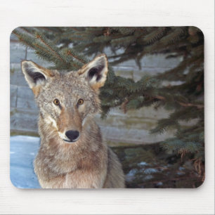 Winter Wildlife Mousepad