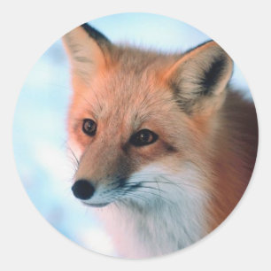 Winter Wildlife Runder Aufkleber