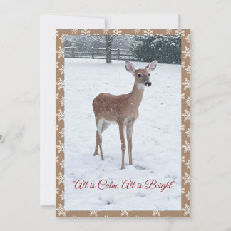 Winter-Wildlife-Szene mit jungem Reh in Schnee  Feiertagskarte