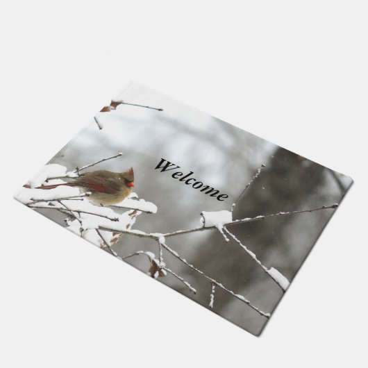 Winter-Willkommen Fußmatte (Schrägansicht)