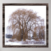 Winter Willow- Matt Poster (Vorne)
